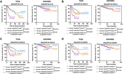 O-Glycosylating Enzyme GALNT2 Predicts Worse Prognosis in Cervical Cancer